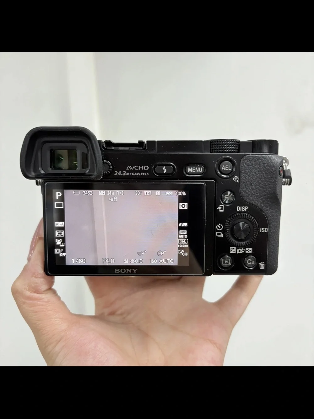Sony Alpha 6000 Black Mirrorless Camera with 16-50mm Lens